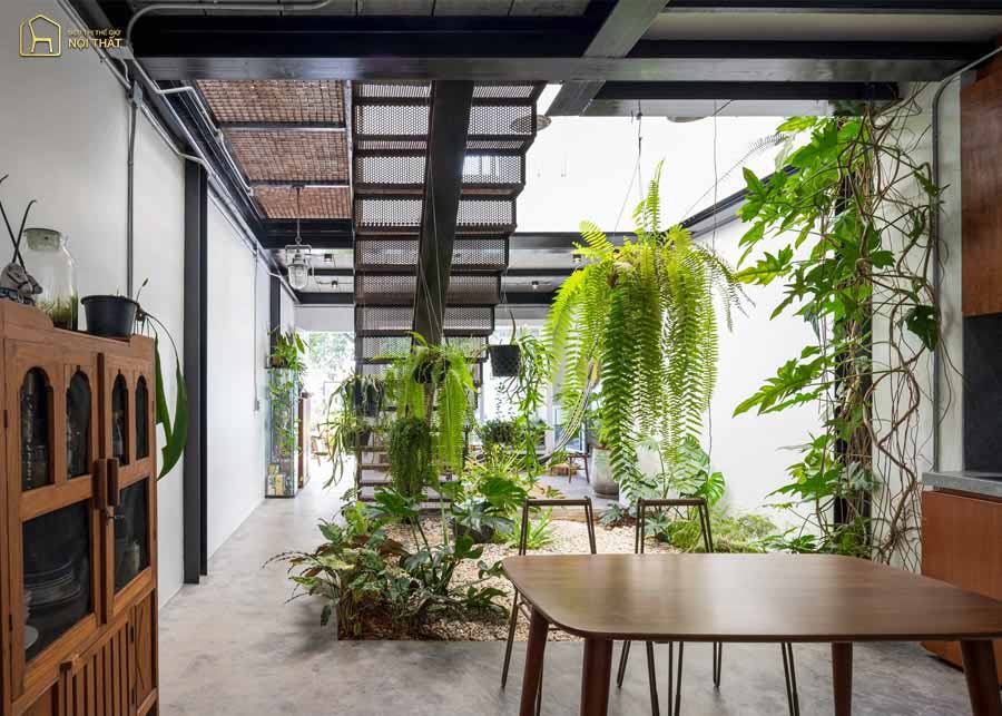 Tận dụng tối đa nguồn ánh sáng thiên nhiên