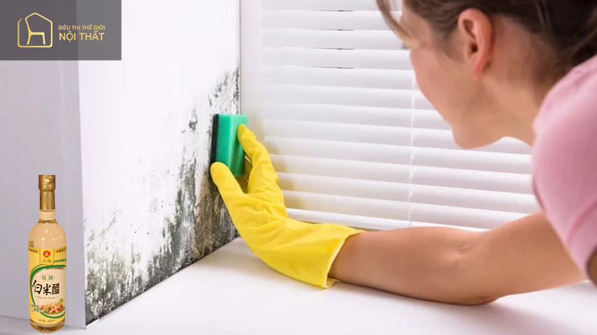 Sử dụng giấm để làm sạch tường