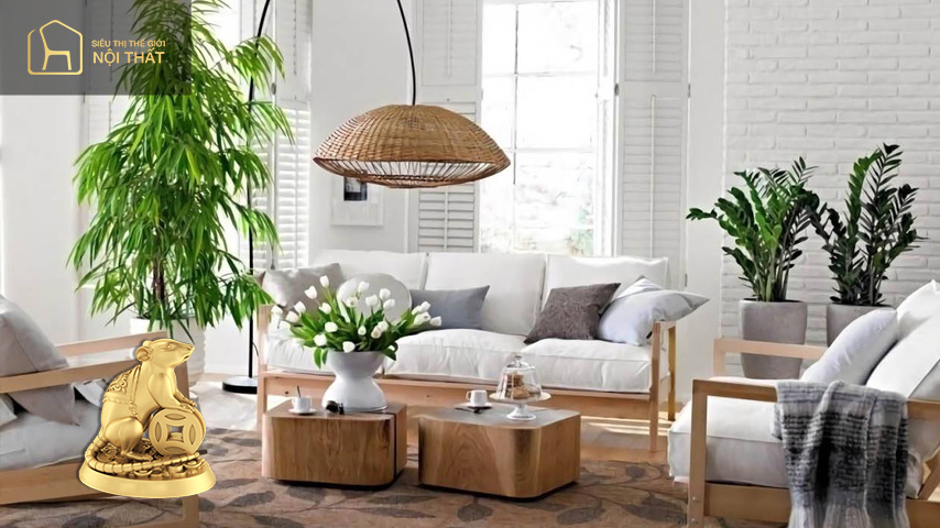 Gia chủ tuổi Tý - Cây Kim Tiền
