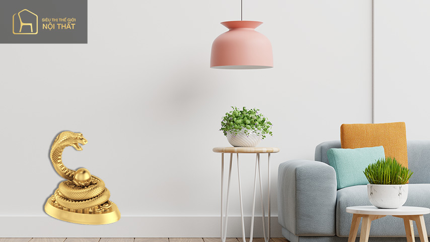 Gia chủ tuổi Tỵ - Cây Cỏ Đồng Tiền