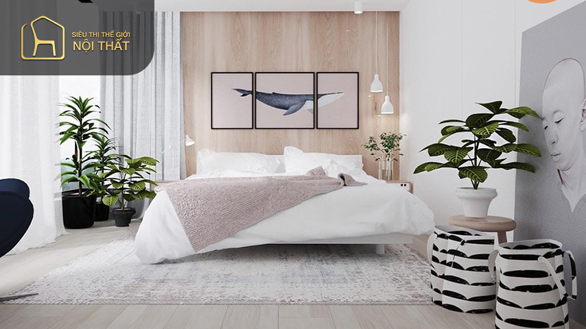 Đặt cây phong thủy trong phòng ngủ đem lại nhiều tài lộc và may mắn cho gia chủ