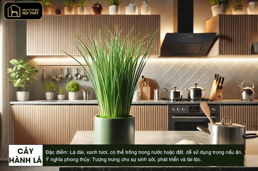 hoa trang trí phòng bếp