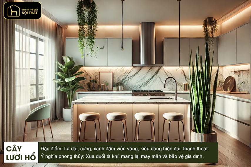 hoa trang trí phòng bếp