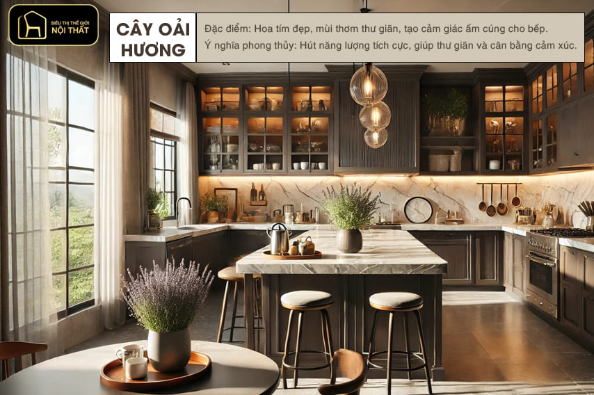 hoa trang trí phòng bếp