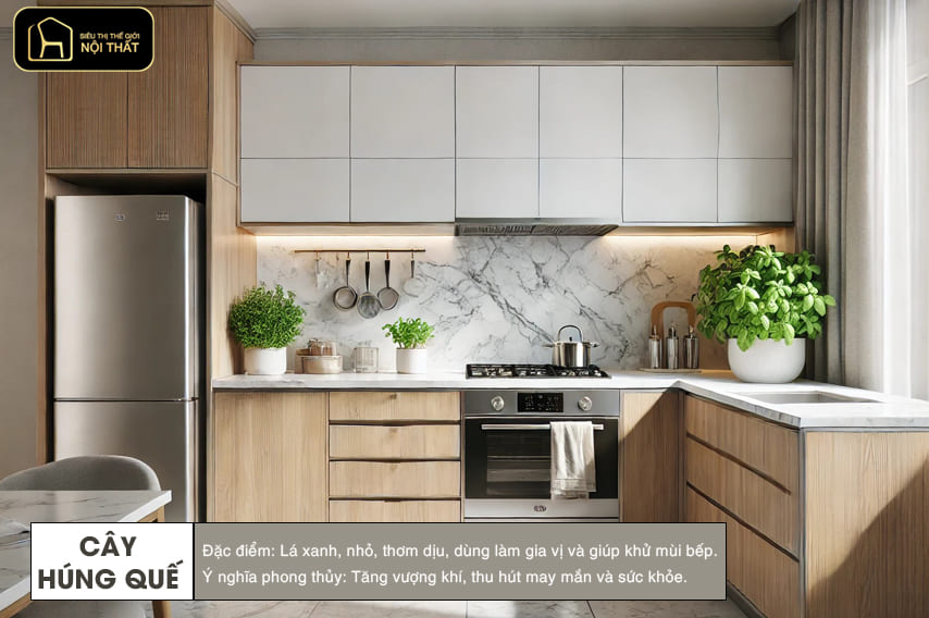 hoa trang trí phòng bếp