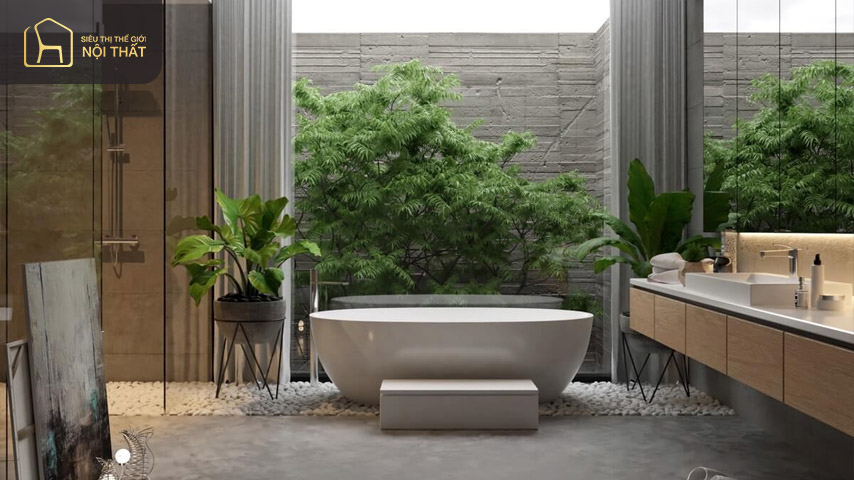 Mẫu nhà vệ sinh, phòng tắm với nội thất đơn giản Mẫu nhà vệ sinh, phòng tắm với nội thất đơn giản