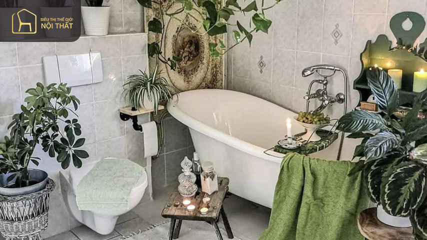 Mẫu nhà vệ sinh, phòng tắm với nhiều cây xanh Mẫu nhà vệ sinh, phòng tắm với nhiều cây xanh