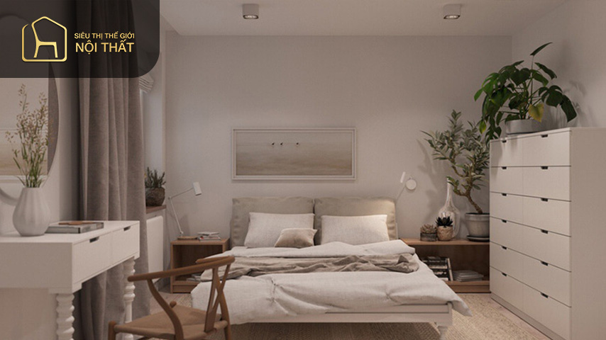 Dùng những cây xanh nhỏ để trang trí phòng ngủ không cửa sổ giúp thanh lọc không khí Dùng những cây xanh nhỏ để trang trí phòng ngủ không cửa sổ giúp thanh lọc không khí mang lại sự trong lành cho căn phòng