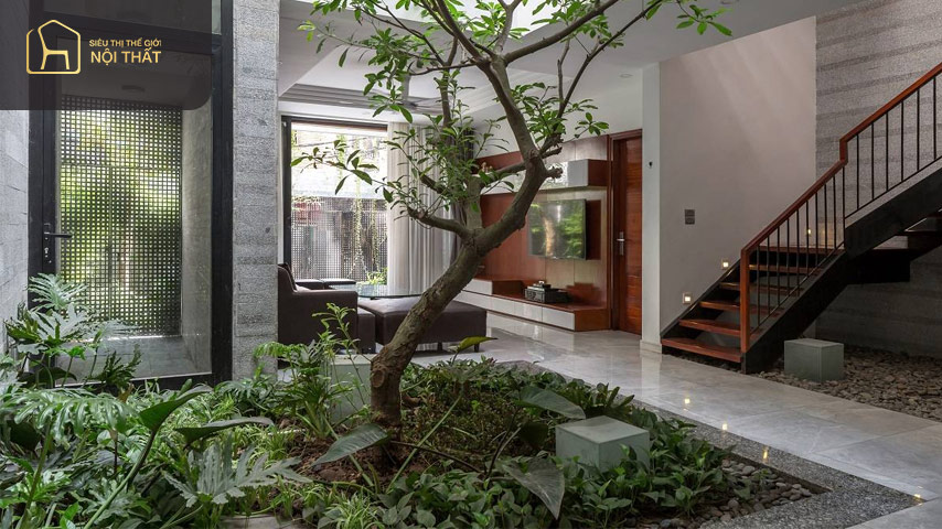 Vị trí đặt tiểu cảnh