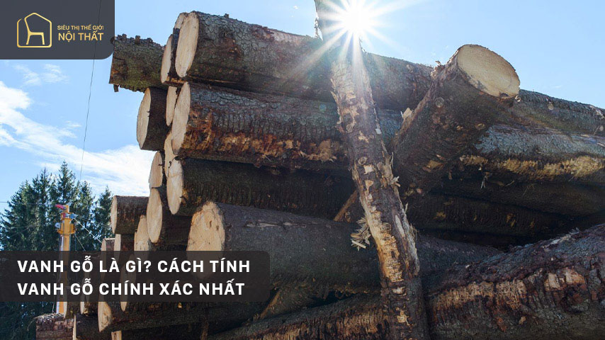 Vanh gỗ là gì? Cách tính vanh gỗ chính xác nhất
