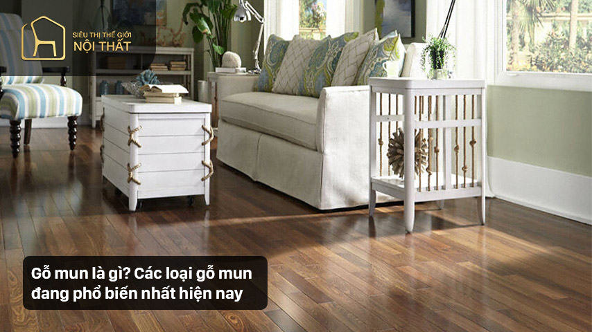 Gỗ mun là gì? Các loại gỗ mun đang phổ biến nhất hiện nay