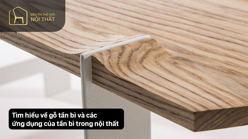 Tìm hiểu về gỗ tần bì và các ứng dụng của tần bì trong nội thất