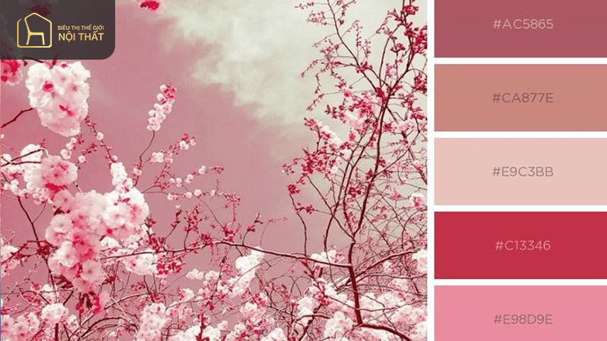 Màu hồng pastel rất phù hợp với các sản phẩm nữ tính