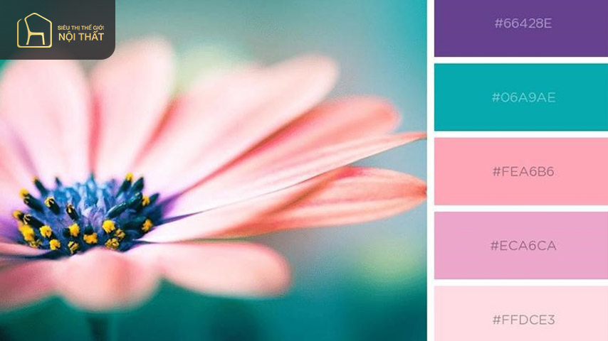 Tím và hồng pastel là xu hướng trong trang trí khạch sạn, cao ốc