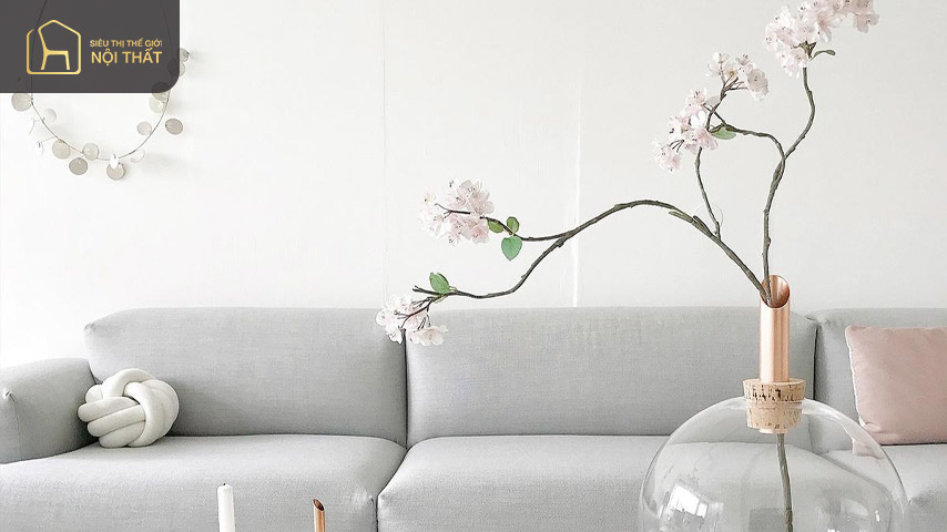 Các loại hoa tone pastel mang lại sự êm dịu cho không gian sống