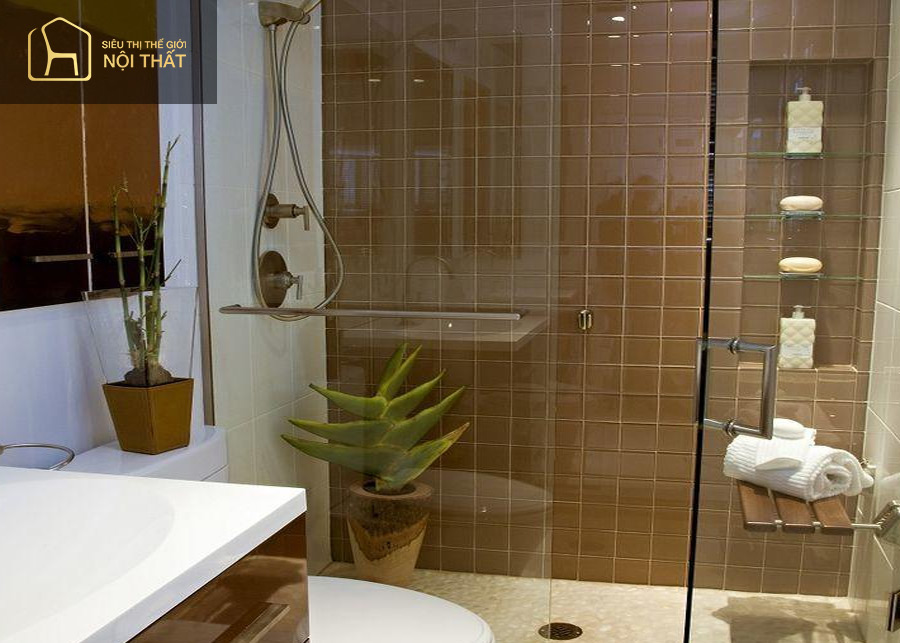 Gỗ tự nhiên và chất liệu kính là hai yếu tố kết hợp vô cùng hài hòa trong thiết kế nhà tắm 4m2