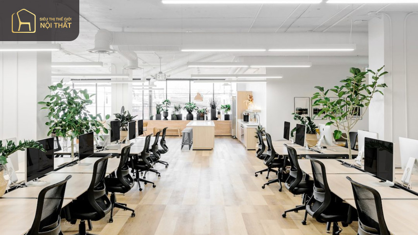 Thiết kế văn phòng 25m2 phong cách đơn giản