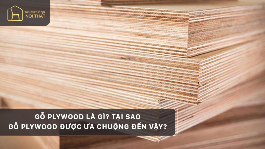 Gỗ Plywood là gì? Tại sao gỗ Plywood được ưa chuộng đến vậy?