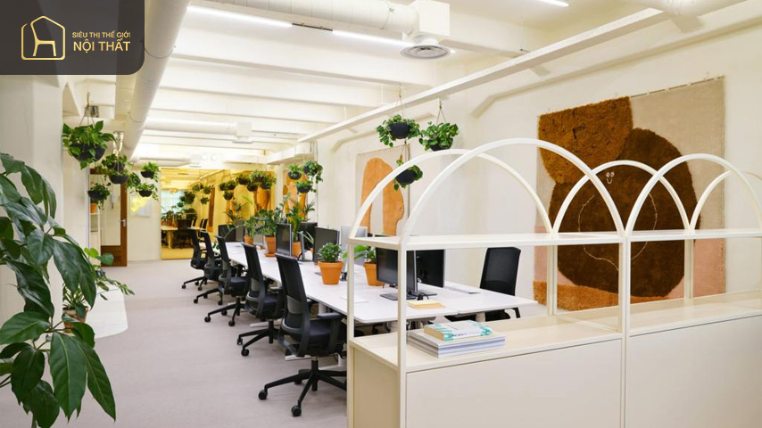 Sự kết hợp giữa đồ trang trí tự nhiên với màu trắng và cam giúp văn phòng thêm nổi bật 