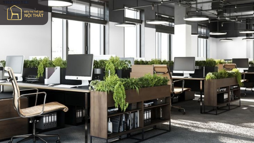 Hình 21: Thiết kế hiện đại cho văn phòng 70m2 không thể thiếu những chậu cây, hoa nhỏ để tạo cảm giác thoải mái nhất