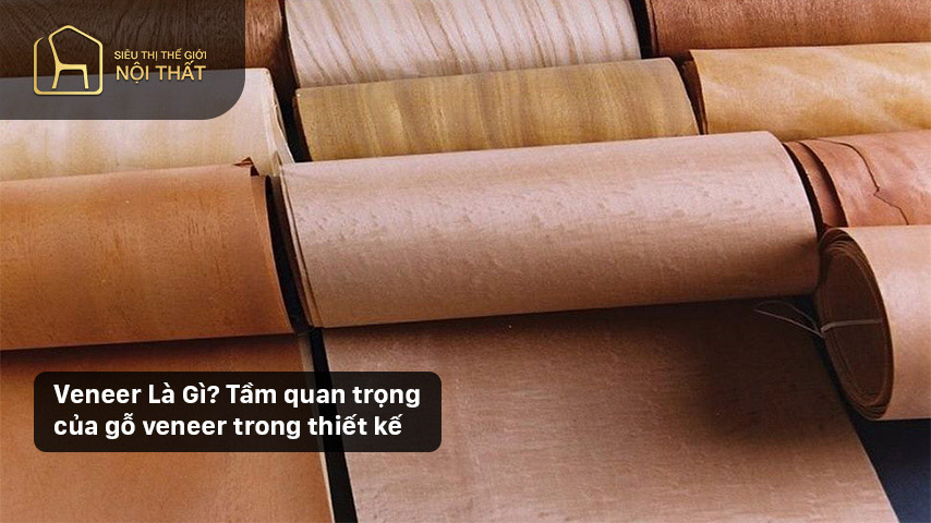 Veneer Là Gì? Tầm quan trọng của gỗ veneer trong thiết kế