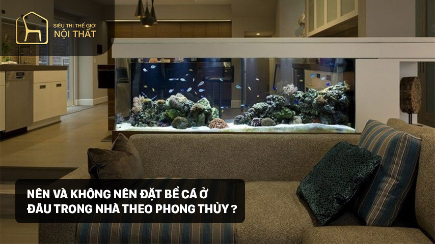 Vị trí để bể cá trong nhà nào là hợp phong thủy nhất?