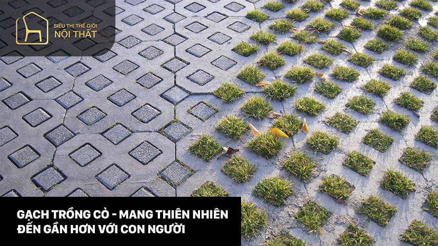 Gạch trồng cỏ - Mang thiên nhiên đến gần hơn với con người