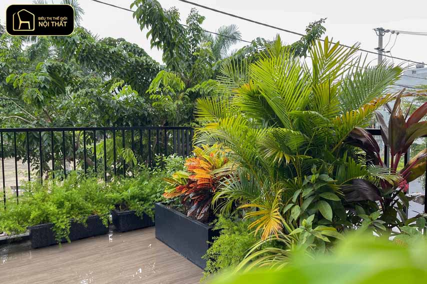 vườn trên sân thượng nhỏ