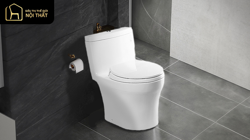 cách chọn bồn cầu cách chọn bồn cầu