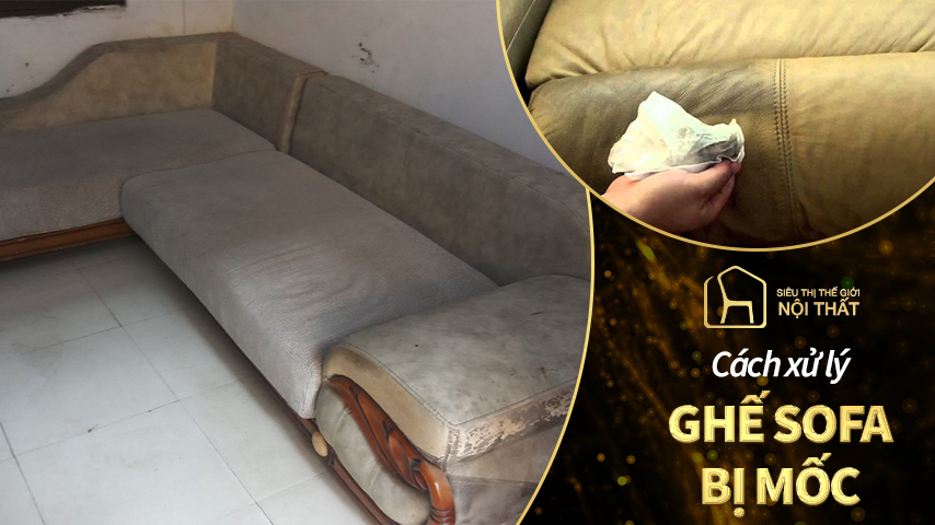 ghế sofa bị mốc