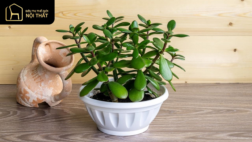 phong thủy xây nhà mệnh kim