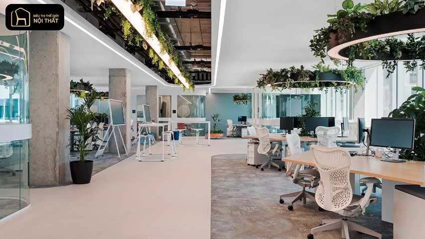 thiết kế nội thất văn phòng mở