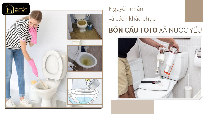 bồn cầu toto