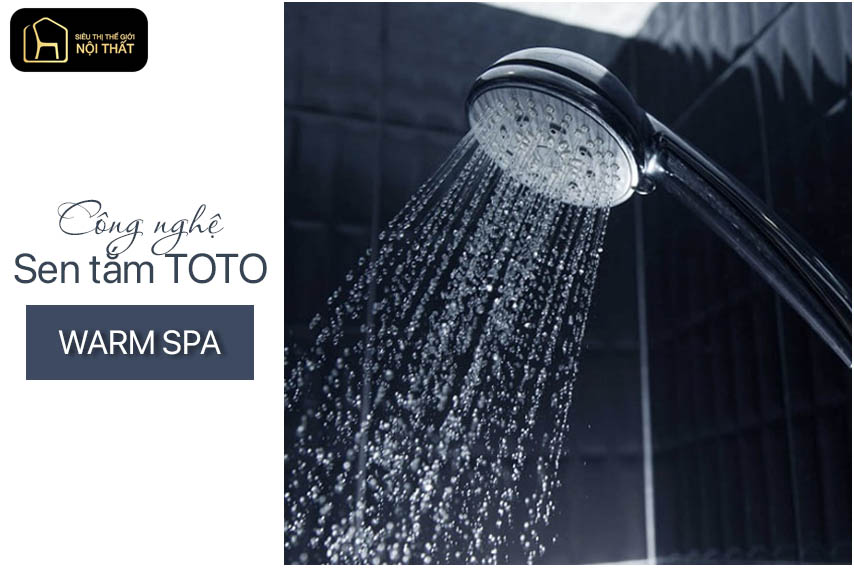 sen tắm Toto