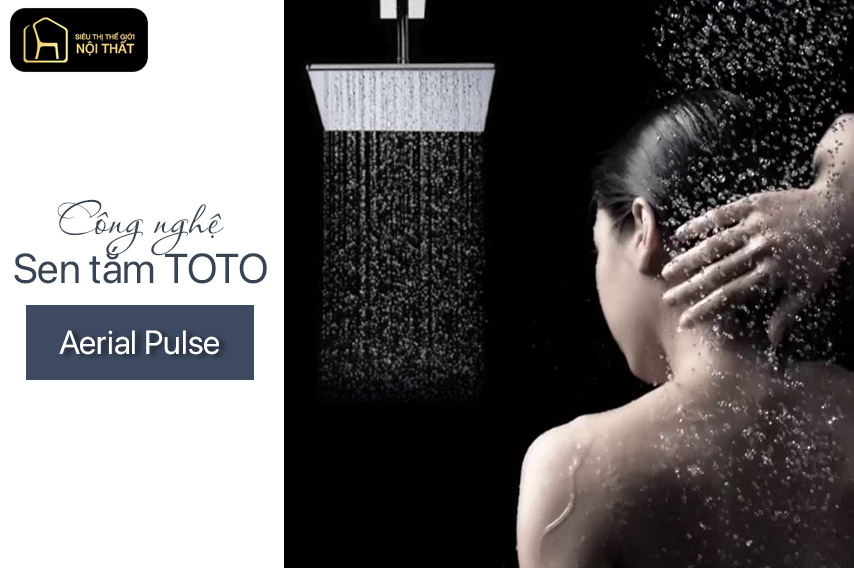 sen tắm Toto