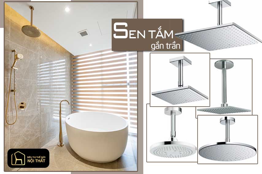 Sen tắm gắn trần