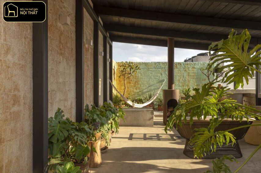 Thiết kế Biophilic