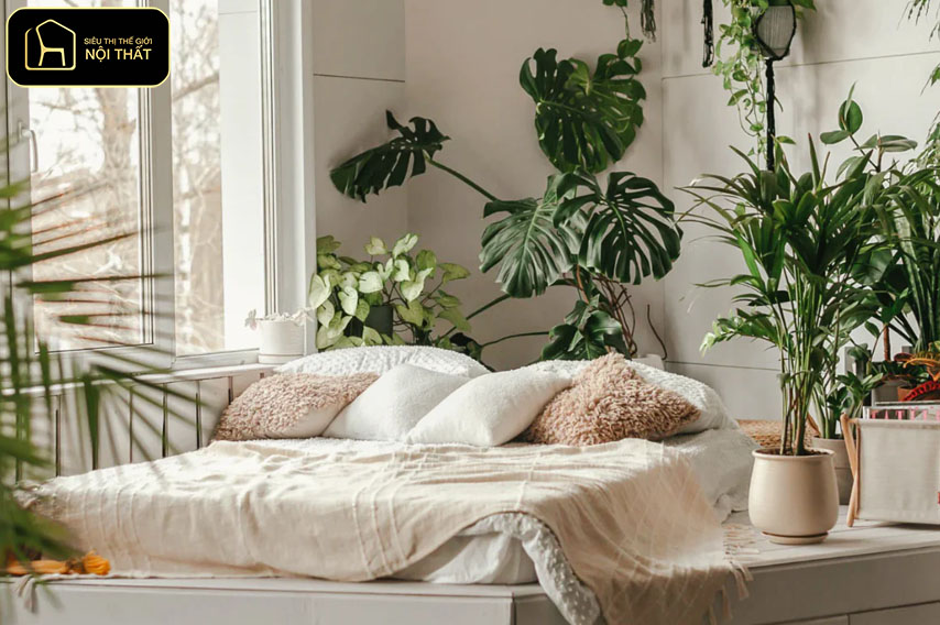 Decor cây xanh trong nhà - Bố trí cây xanh trong phòng ngủ giúp không gian thư giãn hơn và hỗ trợ cải thiện chất lượng giấc ngủ.