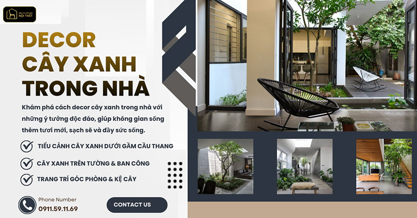 Decor cây xanh trong nhà: Ý tưởng trang trí không gian sống xanh