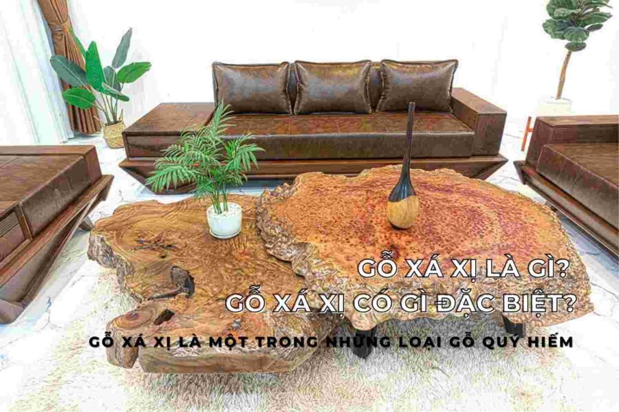 Gỗ xá xị - Cái tên "xá xị" bắt nguồn từ chính mùi hương của gỗ, rất giống với mùi của loại nước giải khát xá xị nổi tiếng.