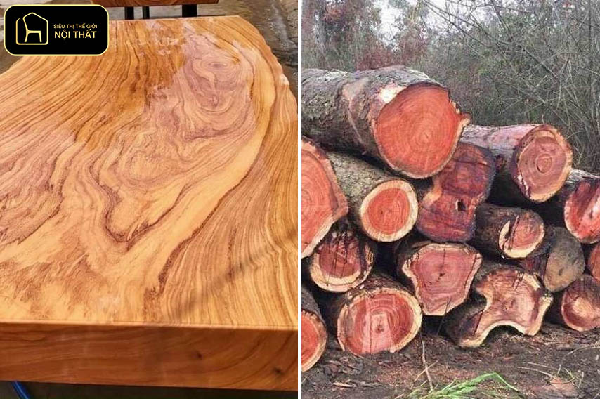 So sánh gỗ hương đá và gõ đỏ - Hương đá vân mịn tinh xảo, thớ gỗ mát và chắc; gõ đỏ vân lớn da hổ mạnh mẽ, cuộn xoắn phóng khoáng và bề thế.