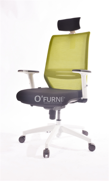 Ghế lưng trung Further 7W-HR - Ảnh 2