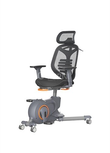 Alternative view of Xe đạp tập thể dục kèm lưng ghế BIKEX 3