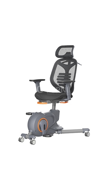 Xe đạp tập thể dục kèm lưng ghế BIKEX 3 - Ảnh 2