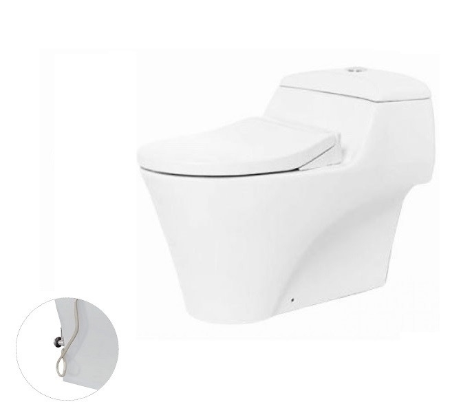 Bàn cầu Ecowasher