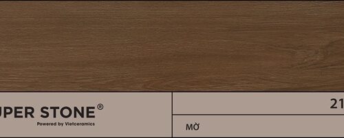 Gạch porcelain lát nền DHYBRIDA