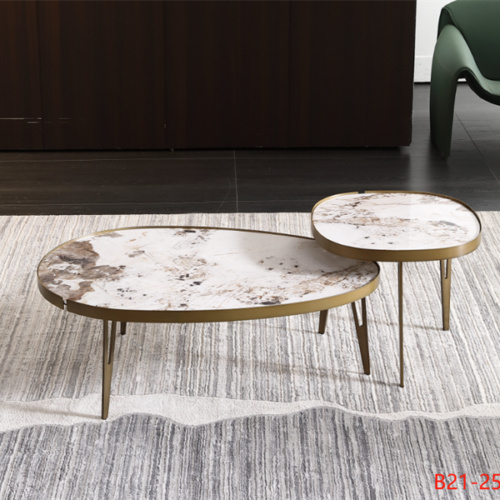 Bàn trà hạt dưa B21-25