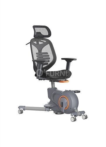 Xe đạp tập thể dục kèm lưng ghế BIKEX 3