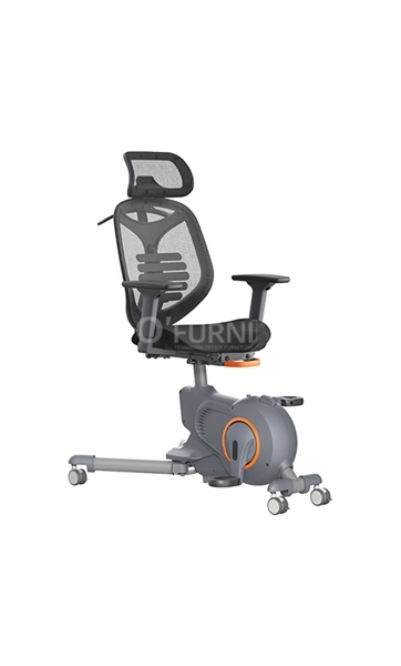 Xe đạp tập thể dục kèm lưng ghế BIKEX 3