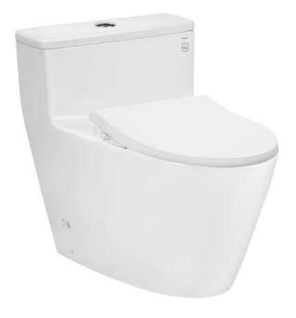 Bàn cầu 1 khối kèm nắp rửa cơ ECOWASHER TCW1211A